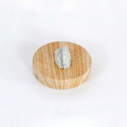 Anillo escudo